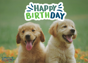 E-Birthday Card: Puppies