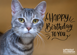 E-Birthday Card: Milkyway