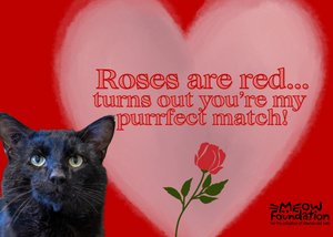 Klimt Matched With You