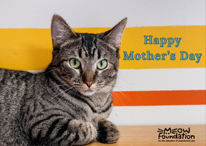 Happy Mother's Day!