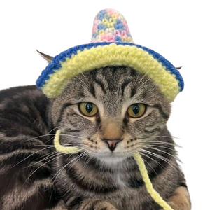 Crochet Pet Hats