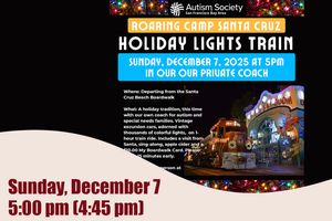 Holiday Lights Train - December 7