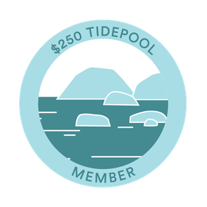 Tidepool Membership