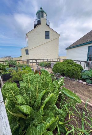 Lighthouse Garden Talk