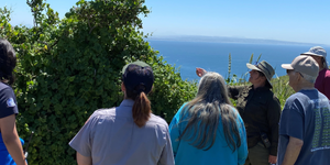 CNMF Member Event - Native Bees of Cabrillo 2026 Ticket