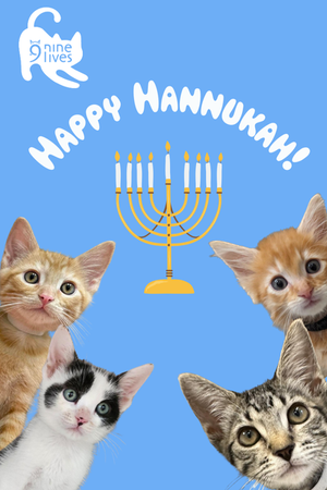 Happy Hannukah eCard