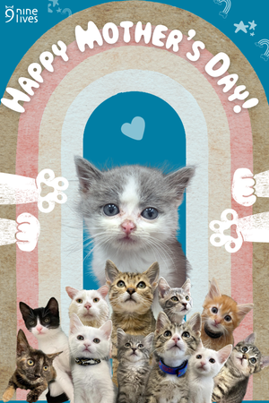 Happy Mother's Day eCard