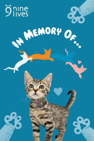 In Memory Of eCard