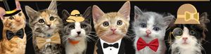 The Great Catsby Event RSVP