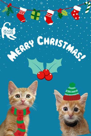 Merry Christmas eCard