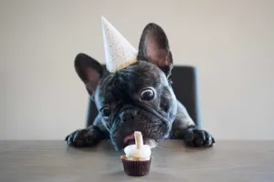 Birthday