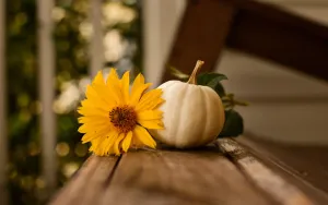 Thanksgiving