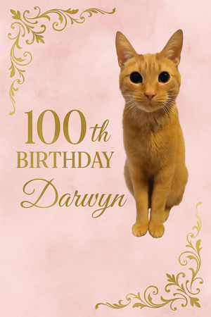 Darwyn's 100th Birthday Fundraiser