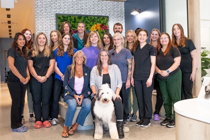 Glenridge Animal Hospital