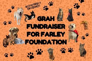 Governors Road Animal Hospital's Fundraiser