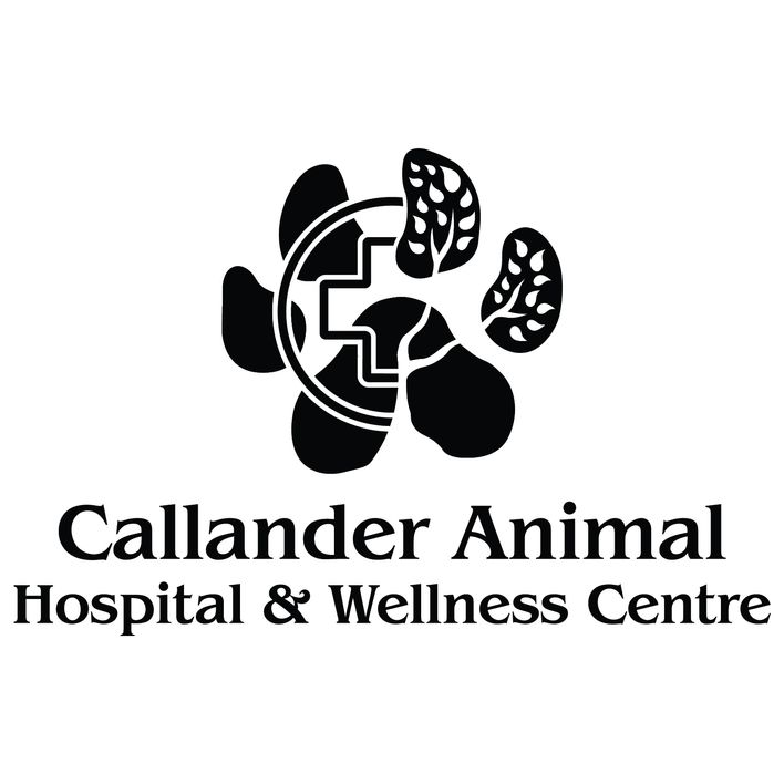 Callander Animal Hospital and Wellness Centre