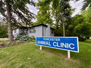 Doncaster Animal Clinic's Fundraiser