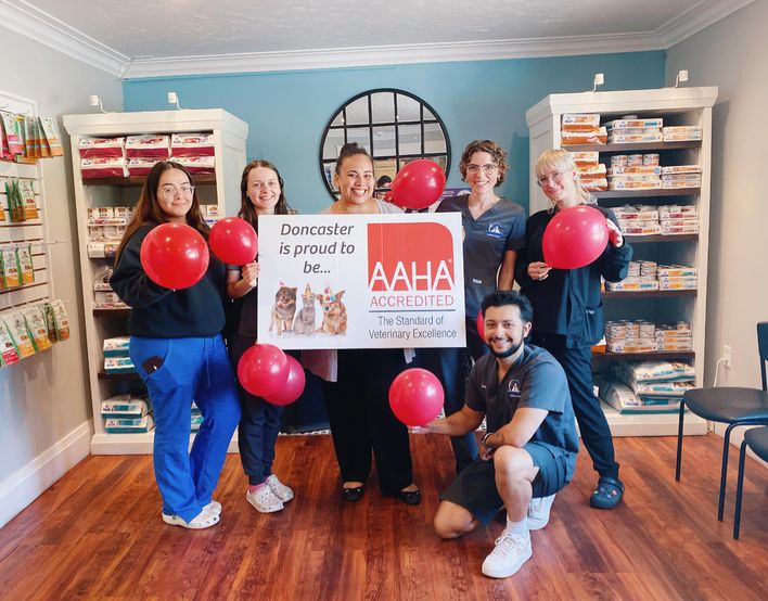 Doncaster Animal Clinic Helping Farley