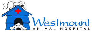 Westmount Animal Hospital's 2025 Farley Foundation Fundraiser