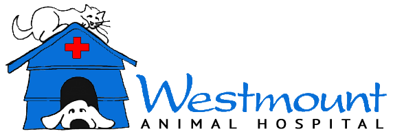 Westmount Animal Hospital's 2025 Farley Foundation Fundraiser