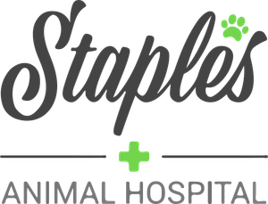 Staples Animal Hospital's Fundraiser