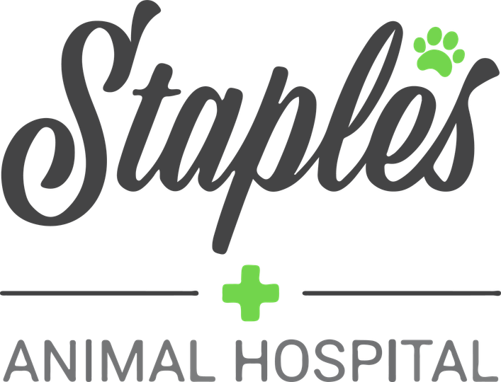 Staples Animal Hospital's Fundraiser