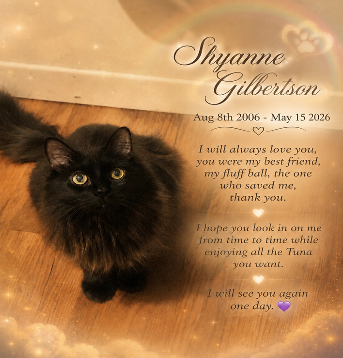Valley Veterinary Clinic's Fundraiser