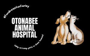 Otonabee Animal Hospital's Fundraiser