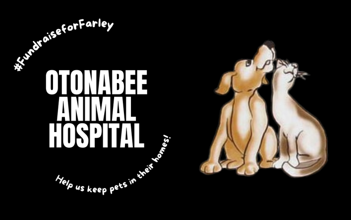 Otonabee Animal Hospital's Fundraiser