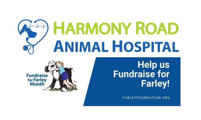 Harmony Road AH - Fundraise for Farley Month