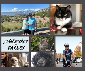 Pedal Pushers for Farley
