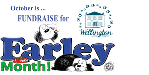 Wellington Animal Hospital Woodstock