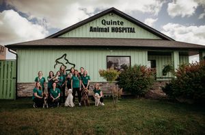 QAH Fundraise for Farley