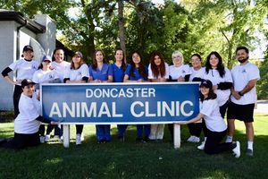 Doncaster Animal Clinic's Fundraiser