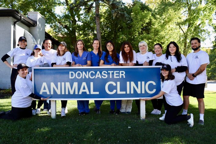 Doncaster Animal Clinic's Fundraiser