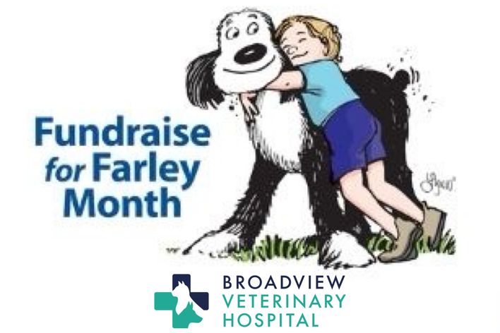 Farley Foundation X Broadview Veterinary Hospital