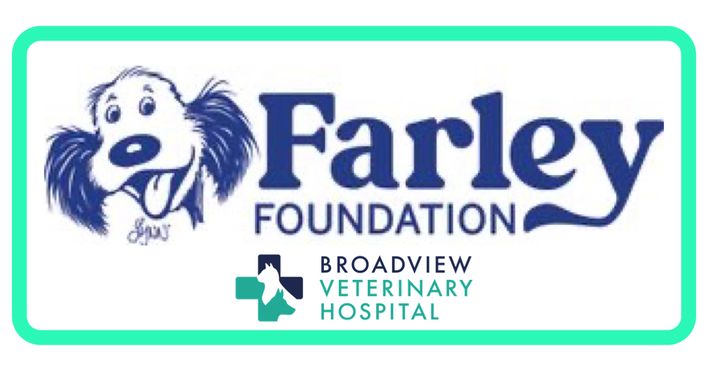 Broadview Veterinary Hospital's Fundraiser