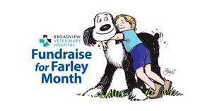 Broadview Veterinary Hospital's Fundraiser