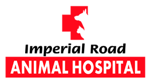 Imperial Road Animal Hospital's Fundraiser