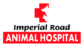 Imperial Road Animal Hospital's Fundraiser