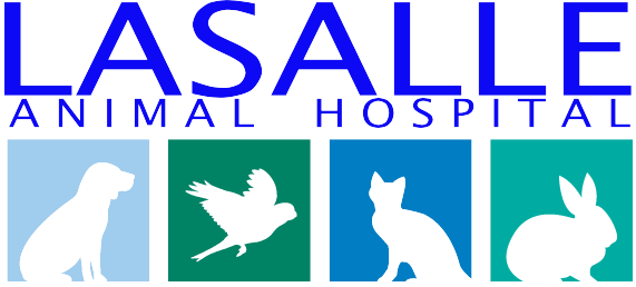 LaSalle Animal Hospital's Fundraiser