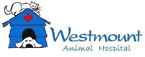 Westmount Animal Hospital's 2026 Fundraiser