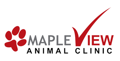 Mapleview Animal Clinic - Farley Foundation Fundraiser