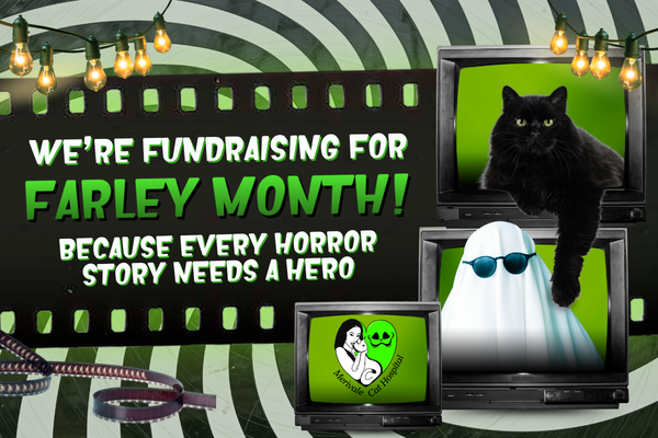 Merivale Cat Hospital's 2026 Farley Month Fundraiser
