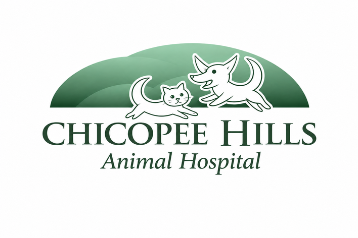 Chicopee Hills Animal Hospital's Fundraiser