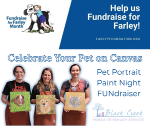 Black Creek Mobile Vet's Pet Portrait Paint Night for Farley