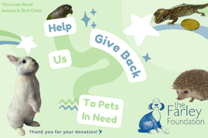 The Links Road Animal And Bird Clinic - Fundraise For Farley Month