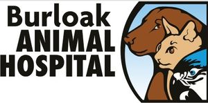 Fundraise for Farley Month - Burloak Animal Hospital