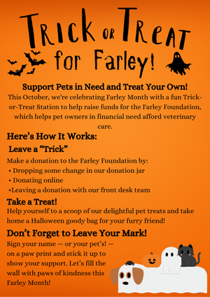 Trick or Treat for Farley