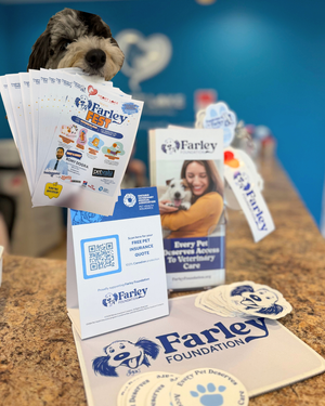 Heart Lake Veterinary Hospital's Farley Month Fundraiser